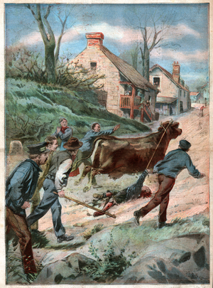 Enfant tue par une vache. Child killed by a cow.
