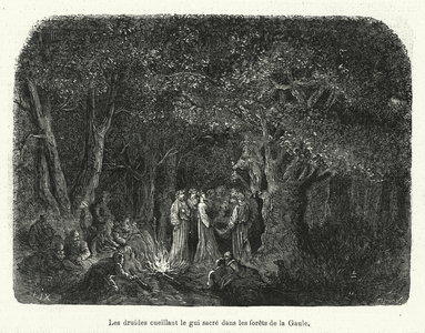 Les druides cueillant le gui sacre dans les forets de la Gaule (engraving)