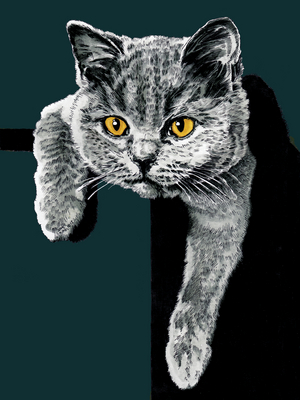 Flora The Kitten on Deep Cyan, 2020, (pen and ink)