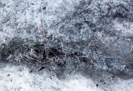 Ried Glacier, Switzerland, 2015 (photo)