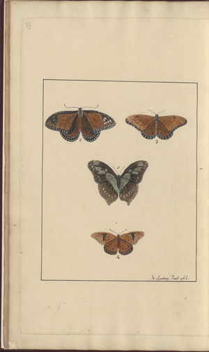 Lindsay Drawings Vol. VI, 29, 1750-79 (w/c on paper)