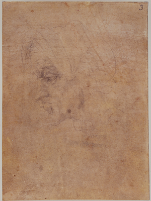 Profile of an old woman, 1525 (drawing)