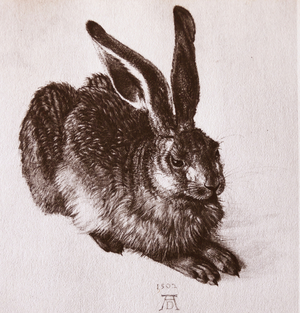 Watercolour of a young hare by Albrecht Dürer (engraving)