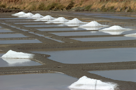 Marees salants, basins where salt is recovered from the sea (photo)