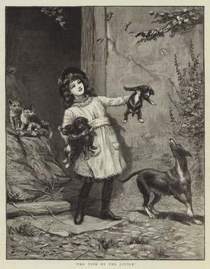 The Pick of the Litter (engraving)