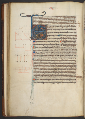 Arundel 84, f.33v, decorated S initial (vellum)