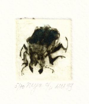 Bug, 2000 (drypoint)