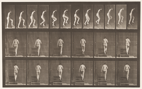 Plate 93. Ascending Stairs, 1872-85 (collotype on paper)