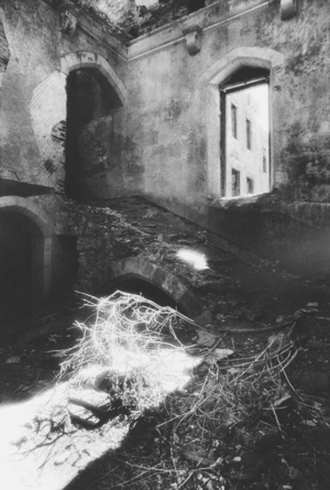 Interior, Castle Freke, County Cork, Ireland (b/w photo)