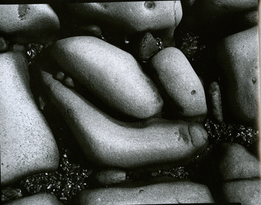 Rock and Pebbles, c.1965 (silver gelatin print)