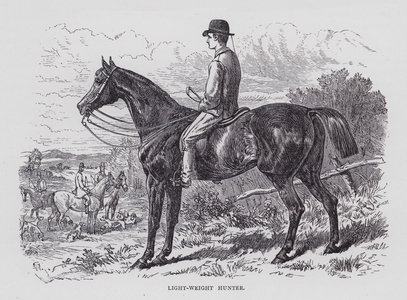 Light-Weight Hunter (engraving)
