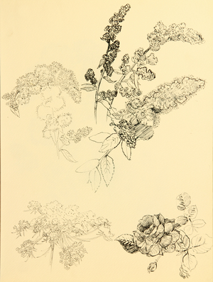 Flowers, 1967 (gouache on paper)