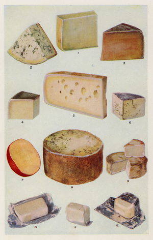 Cheddar; Gorgonzola; Double Gloster; Parmesan; Gruyere; Roquefort; Dutch; Stilton; Camembert; St Ives; Cream (colour litho)