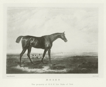 Moses, foaled 1819 (b/w photo)