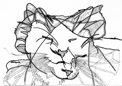 Double cat, 2019 (ink on paper)