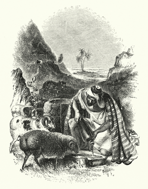 Arabian shepherd life (engraving)