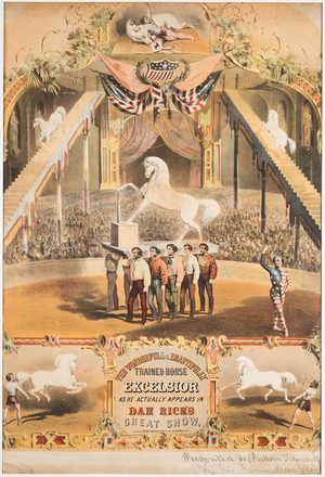 The Wonderfull and Beautifully Trained Horse Excelsior, c.1840 (chromolitho)