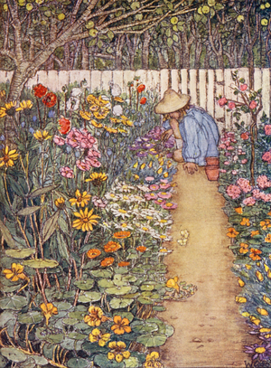 Children’s Book of Gardening: A Herbaceous Border (colour litho)