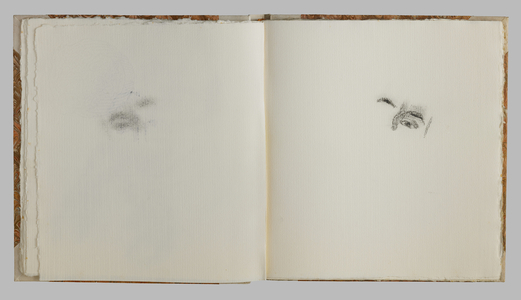 Page from a sketchbook