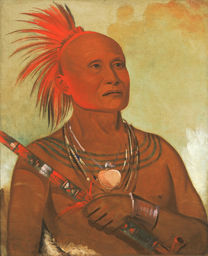 Pam-a-hó, The Swimmer, One of Black Hawk's Warriors, 1832 (oil on canvas)