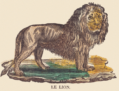 The lion, c.1840-1852 (lithograph)