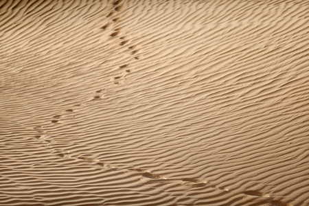 Sand patterns and human footprints at a desert. Dubai. United Arab Emirates, 2021 (photo)