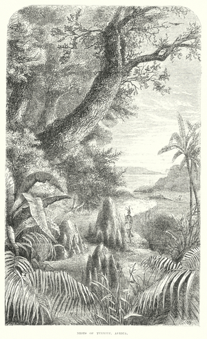 Termites (engraving)