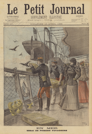 Trial of carrier pigeons at sea (colour litho)