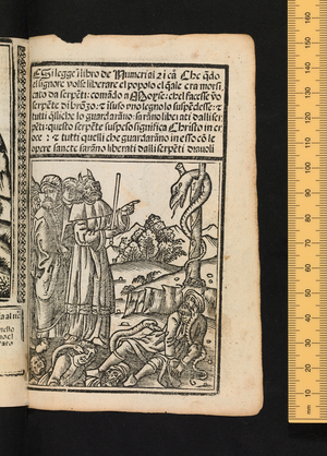 Figures of the Old Testament, c1525-1531 (woodcut)