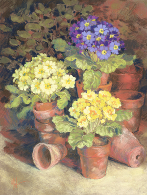 Yellow and Blue Flowers in Small Garden Pots