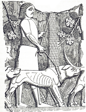 A huntsman and dogs