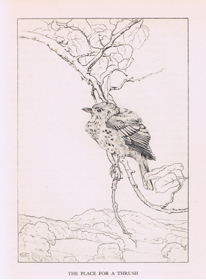 The place for a thrush, illustration from Green Fields and Fantasy published by Metheun, 1934 (litho)