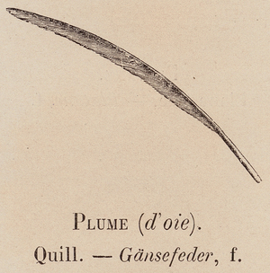 Le Vocabulaire Illustre: Plume (d'oie); Quill; Gansefeder (engraving)