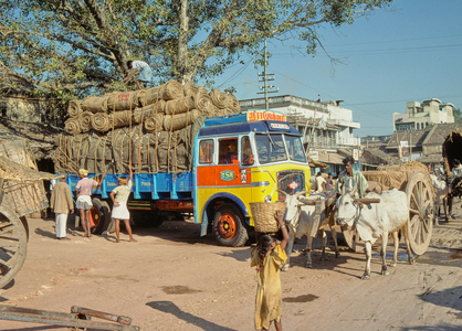 Rural scene, India, 1980 (photo)