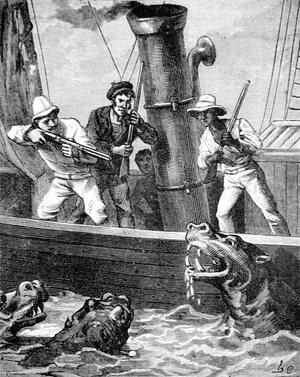Hippo or Hippopotamus Attack in Africa, 1885 (engraving)