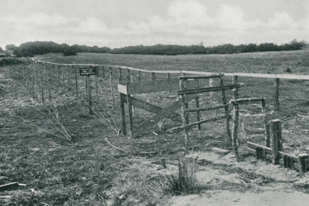 Barbed Wire Entanglement (b/w photo)