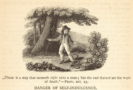 Danger of Self-Indulgence (engraving)