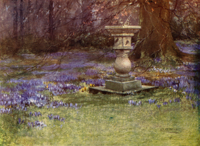 Scottish Gardens: Whitehouse (colour litho)