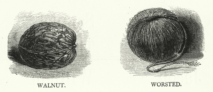 Walnut, Worsted (engraving)