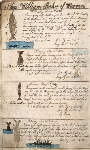 A page of William Baker's logbook (whaler) november 1938
