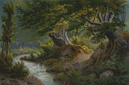 Forest at Les Plans (colour litho)