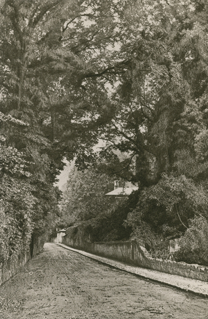 Bonchurch Road, Isle of Wight (b/w photo)
