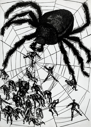 A Cross-spider (drawing)