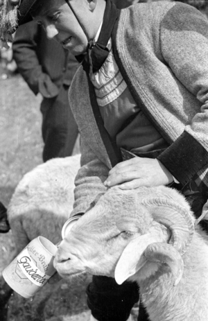 The Gauder Fest in Zell am Ziller, 1952 (b/w photo)