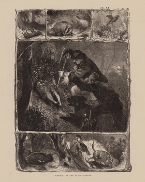 "Sport" in the Black Forest (engraving)