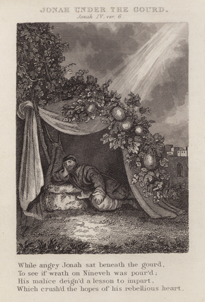 Jonah under the gourd, Jonah IV, ver 6 (engraving)