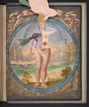 Tables representing man in three different states, 1717 (manuscript)