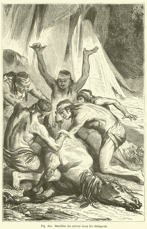 Sacrifice du cheval chez les Patagons (engraving)