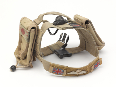 Customised harness for and Improvised Explosive Device (IED) search dog, 2007 circa
