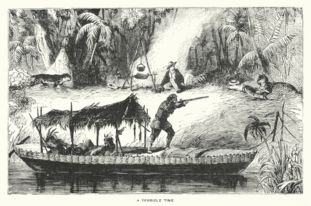 South America: A terrible time (engraving)